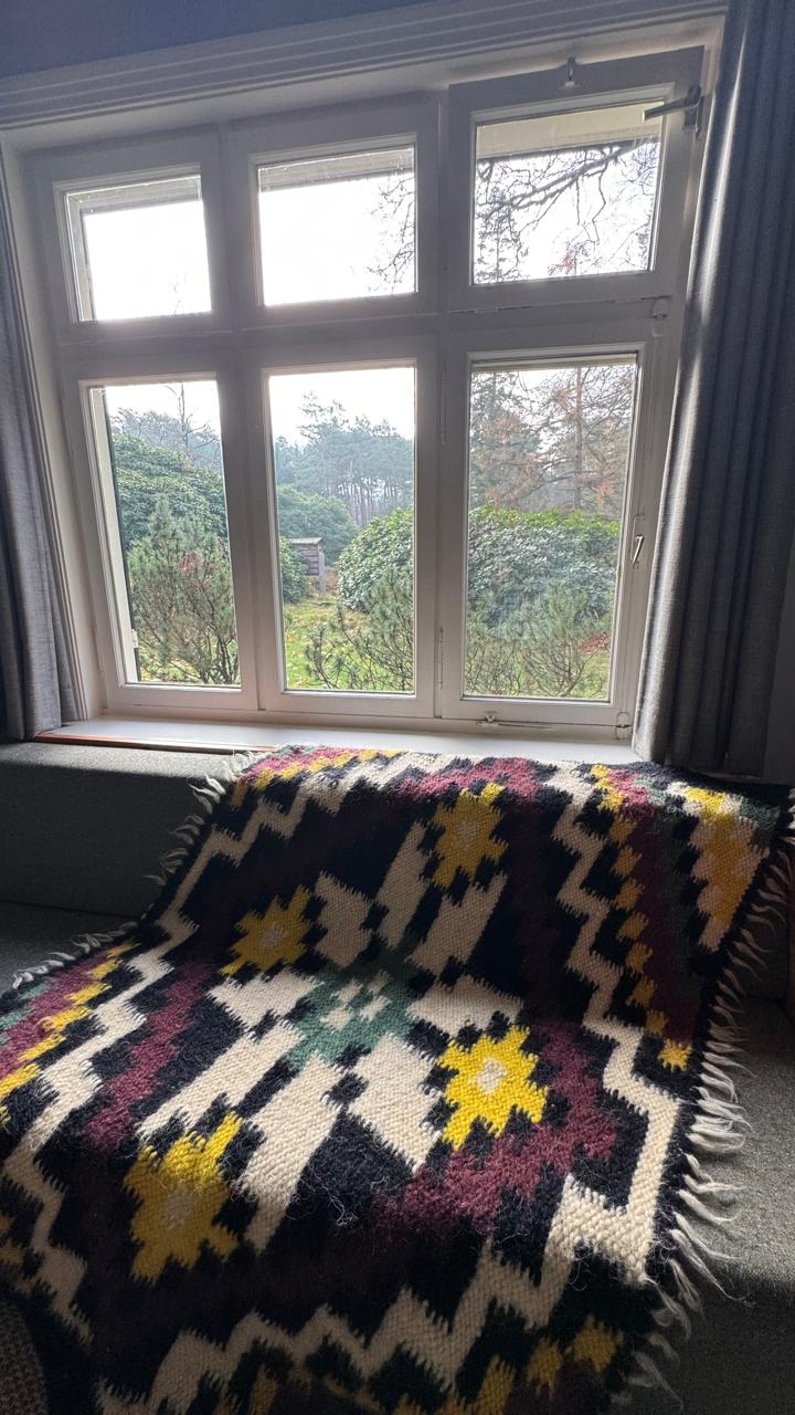 Lizhnyk/blanket/rug/bedspread